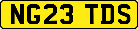 NG23TDS