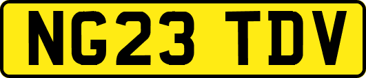 NG23TDV