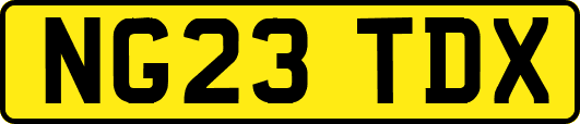 NG23TDX