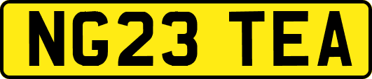 NG23TEA