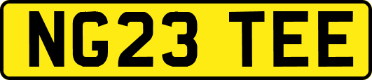 NG23TEE
