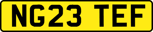 NG23TEF