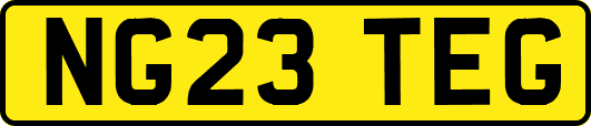 NG23TEG