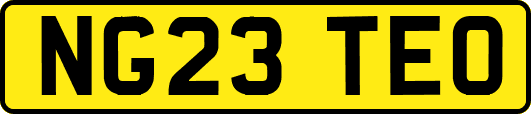 NG23TEO