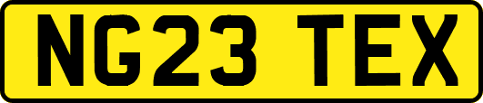 NG23TEX