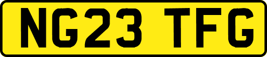NG23TFG