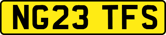 NG23TFS
