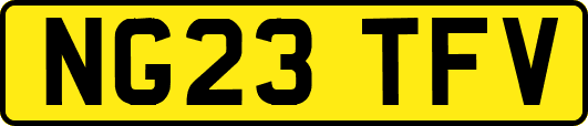 NG23TFV