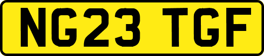 NG23TGF