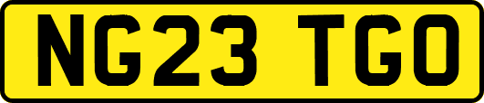 NG23TGO