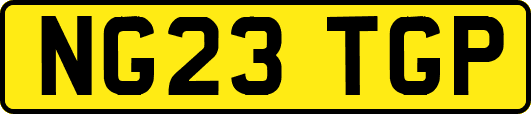 NG23TGP
