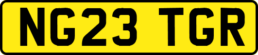 NG23TGR