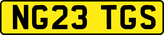 NG23TGS