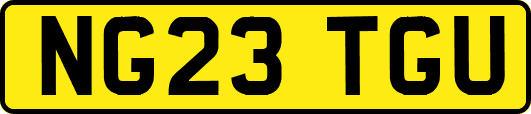 NG23TGU