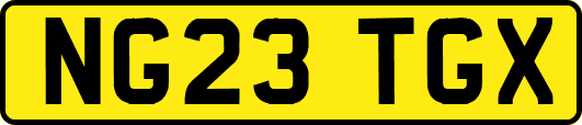 NG23TGX