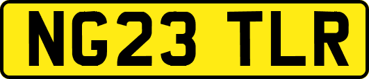 NG23TLR