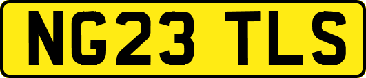 NG23TLS