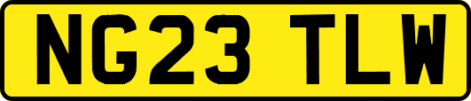 NG23TLW