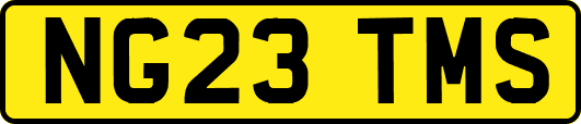 NG23TMS