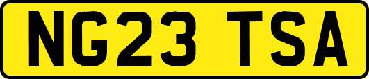 NG23TSA