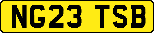 NG23TSB
