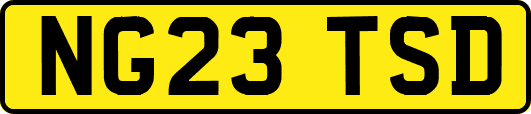 NG23TSD