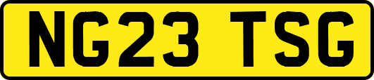 NG23TSG