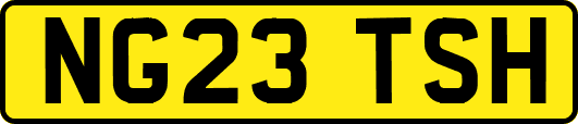 NG23TSH