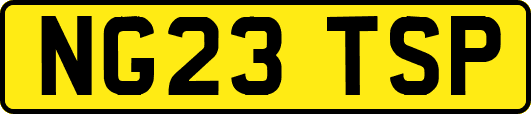 NG23TSP