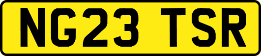 NG23TSR
