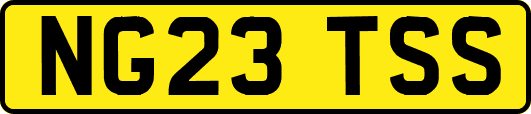 NG23TSS