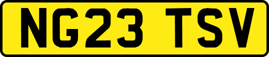 NG23TSV