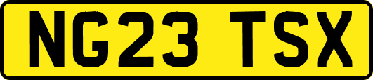 NG23TSX