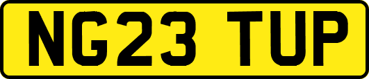 NG23TUP