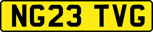 NG23TVG