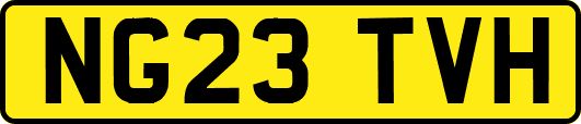 NG23TVH