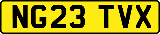 NG23TVX