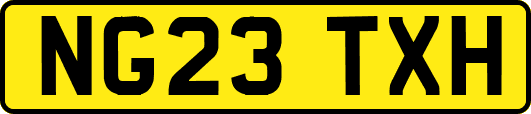 NG23TXH