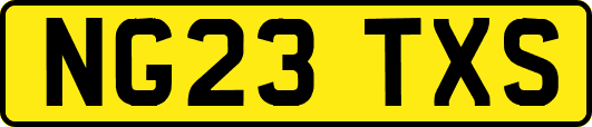 NG23TXS