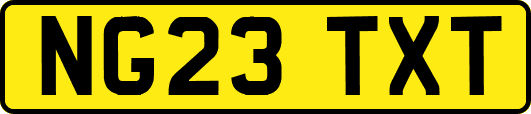 NG23TXT