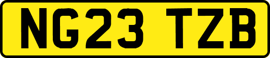 NG23TZB