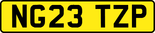 NG23TZP