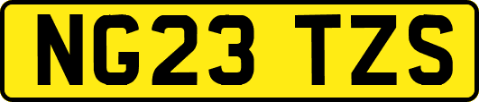 NG23TZS