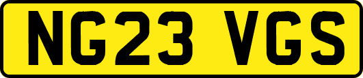 NG23VGS