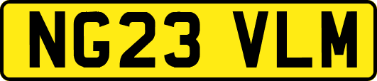 NG23VLM