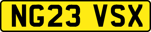 NG23VSX