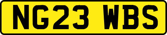 NG23WBS