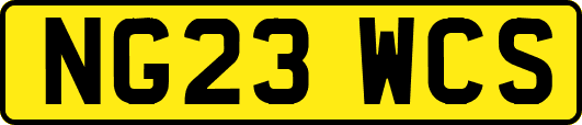NG23WCS