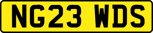 NG23WDS