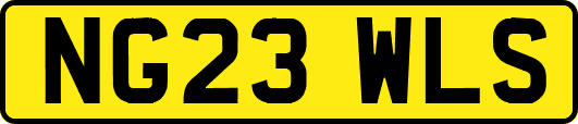 NG23WLS